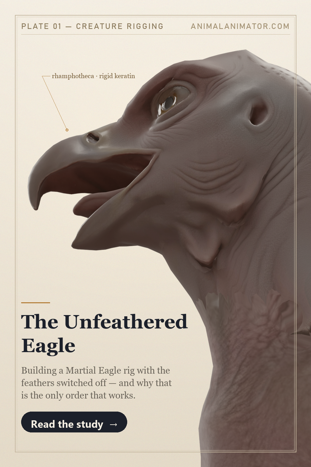 Building a Martial Eagle rig with the feathers switched off