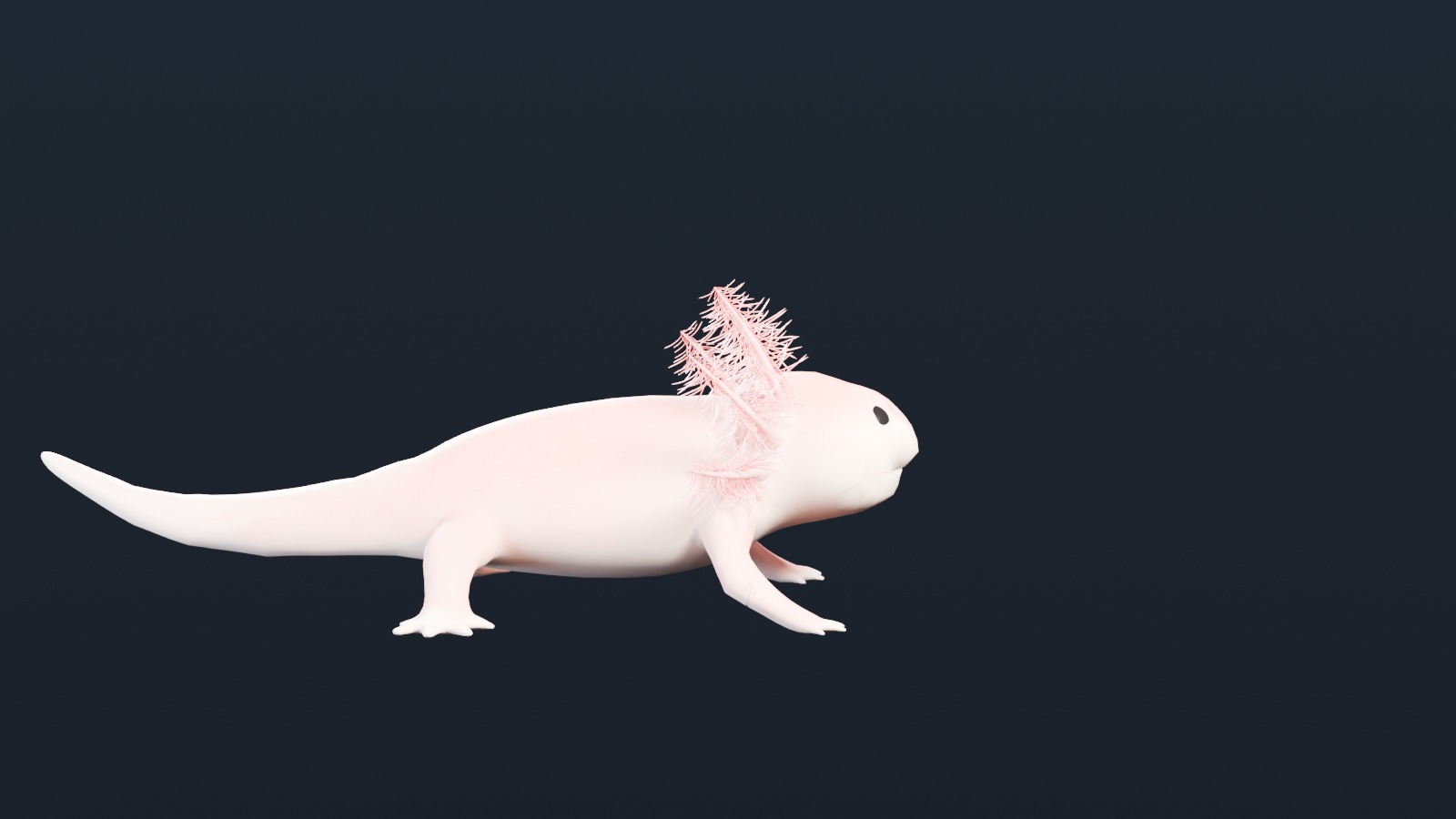 The Ultimate Axolotl Reference for Animal Animators